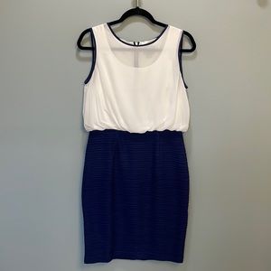 White & Navy Dress